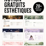 Modèle Notion élégant et coloré sur un écran d'ordinateur
