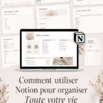 Capture d'écran d'un tableau Notion bien organisé