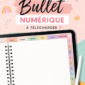 Capture d'écran d'un bullet journal numérique bien organisé sur une tablette.