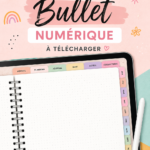 Capture d'écran d'un bullet journal numérique bien organisé sur une tablette.