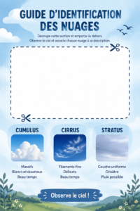 Une femme utilise son ordinateur pour explorer différents services de cloud computing.