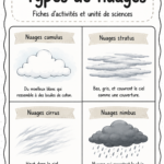 Un ciel rempli de différents types de nuages, illustrant leur diversité.